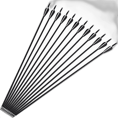 Arrows for archery (sport use)