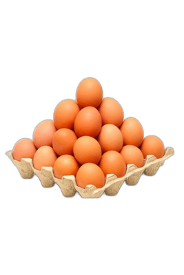 Fresh Eggs