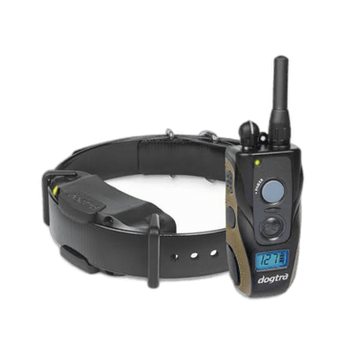 Shock collars